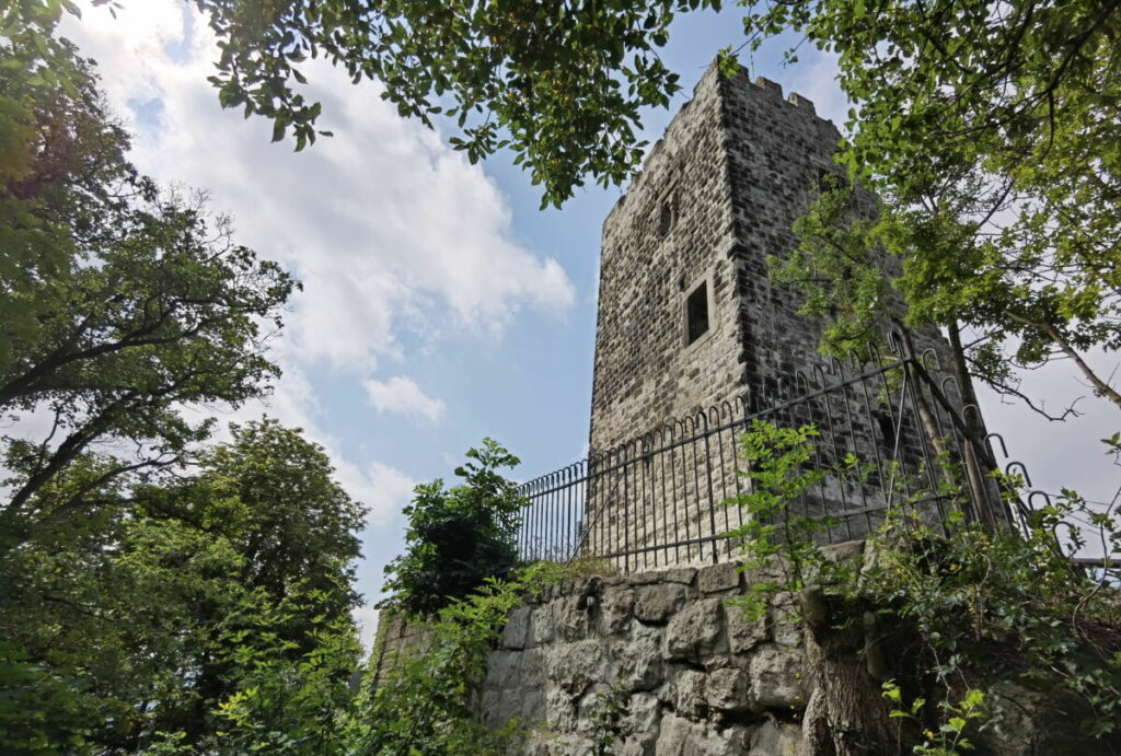 Burg Drachenfels - op de top van de Drachenfels