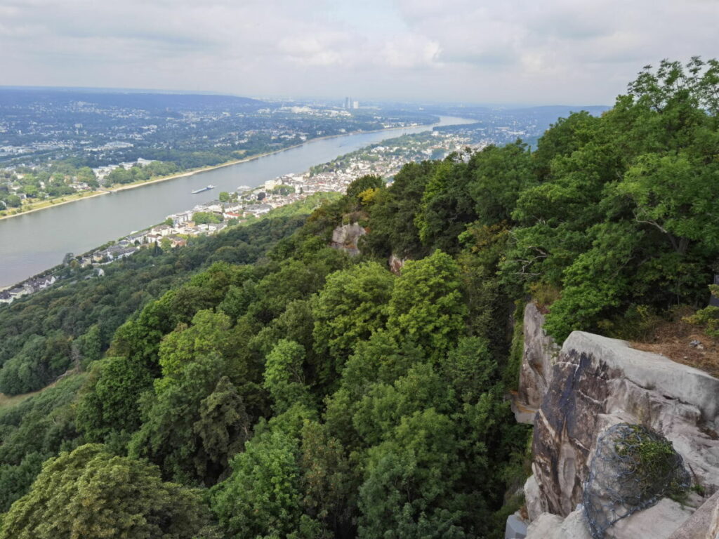 Höchster Punkt auf der Drachenfels Wanderung - Aussicht von Burg Drachenfels auf Rhein und Bonn