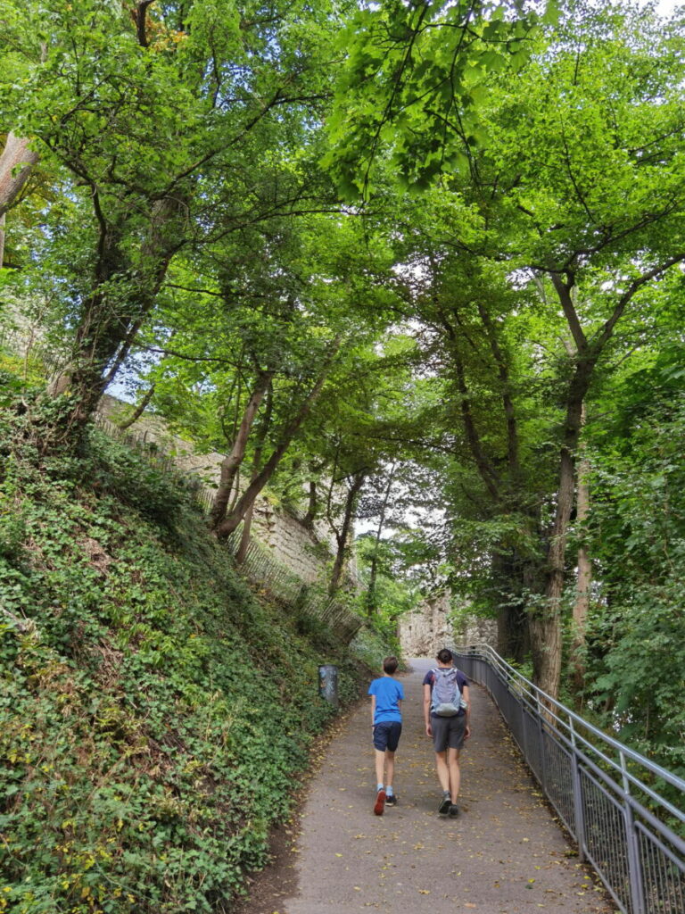 Drachenfels Wanderung