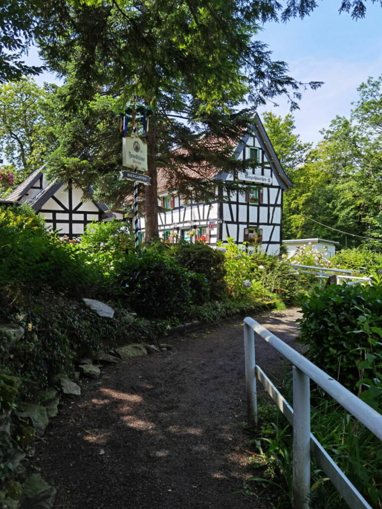 Drachenfels Wanderung