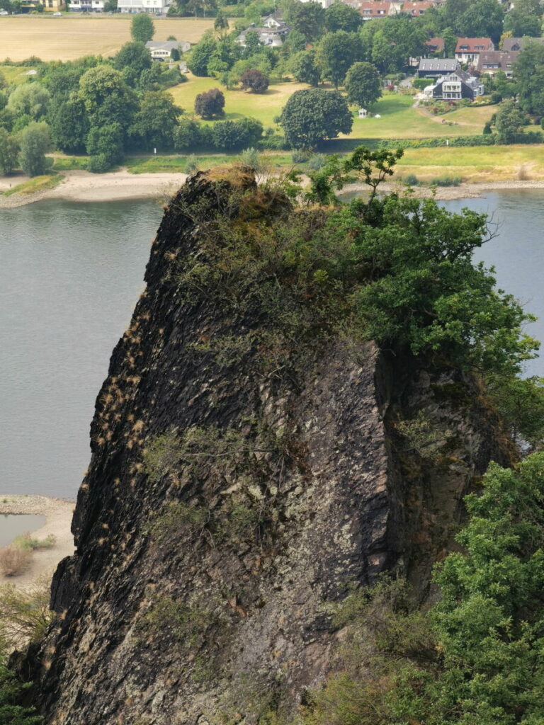 Blick aus dem Siebengebirge auf den Rhein