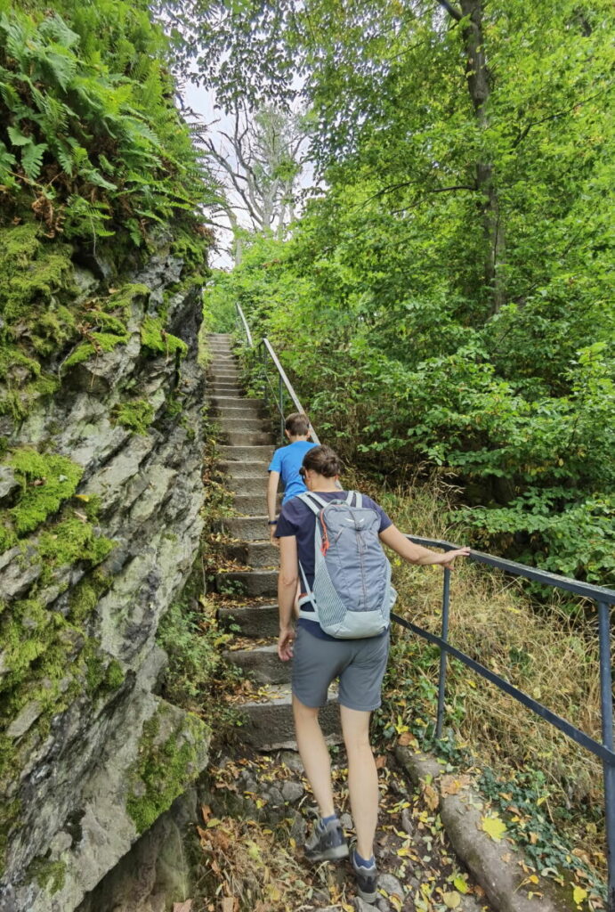 Aufstieg über die Treppen zum Drachenfels