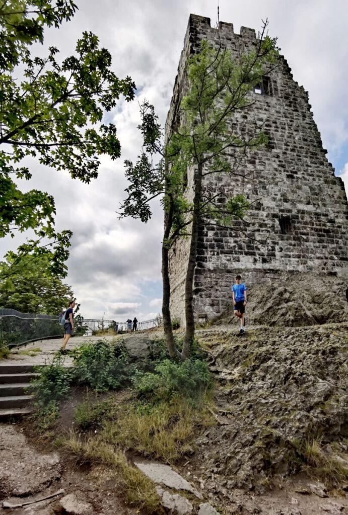 Burg Drachenfels