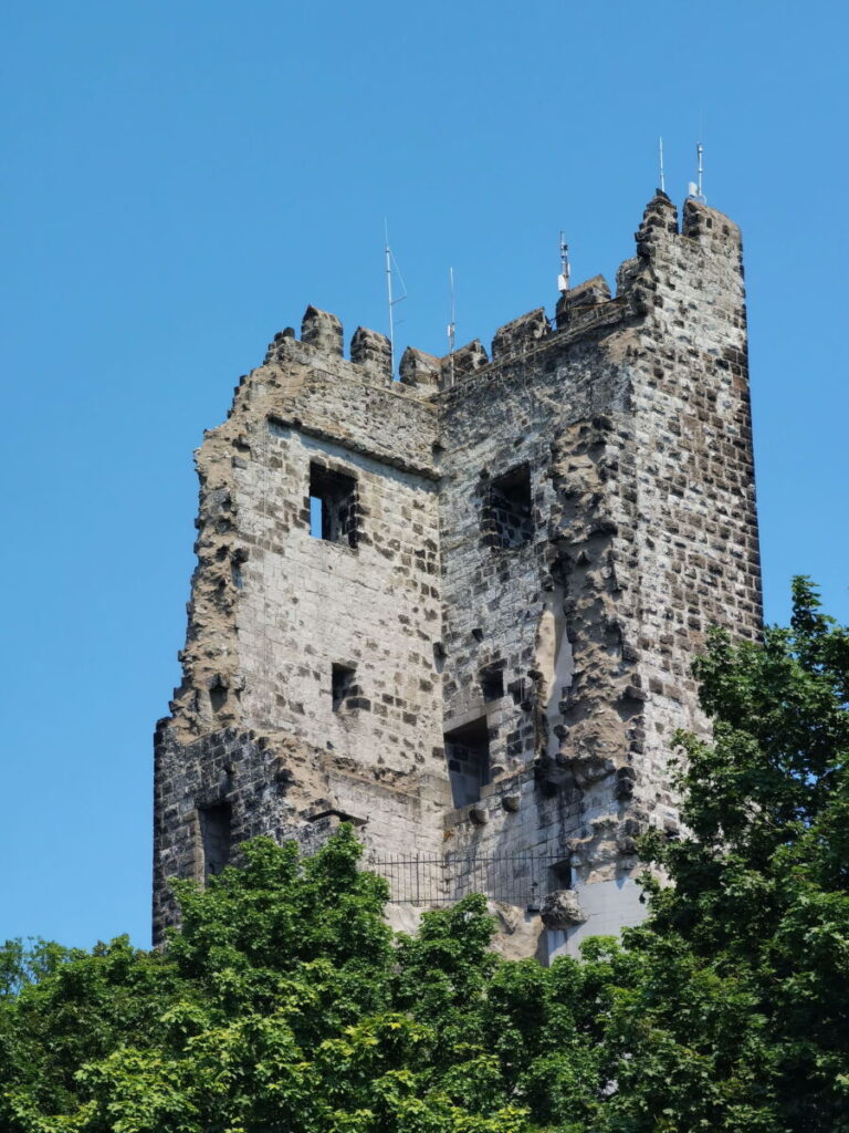 Diese Ruine ist von Burg Drachenfels übrig geblieben