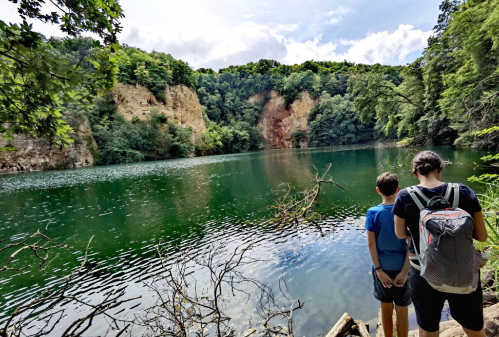 Dornheckensee Bonn - verwunschener See im Siebengebirge