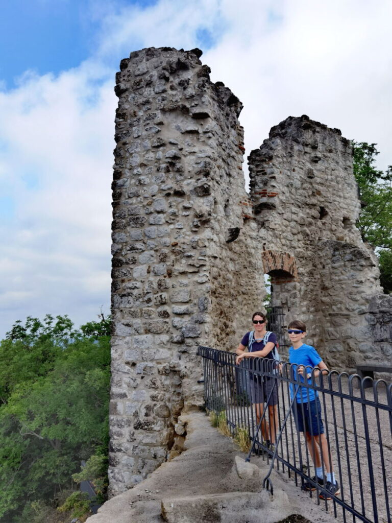 Burg Drachenfels