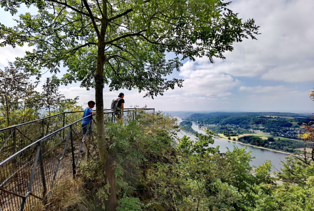 Ausblick vom Siebengebirge auf den Rhein