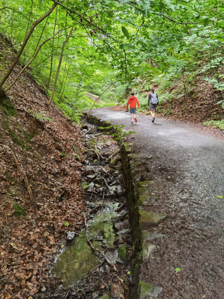 So führt der Wanderweg von Königswinter durch das Nachtigallental Richtung Drachenfels