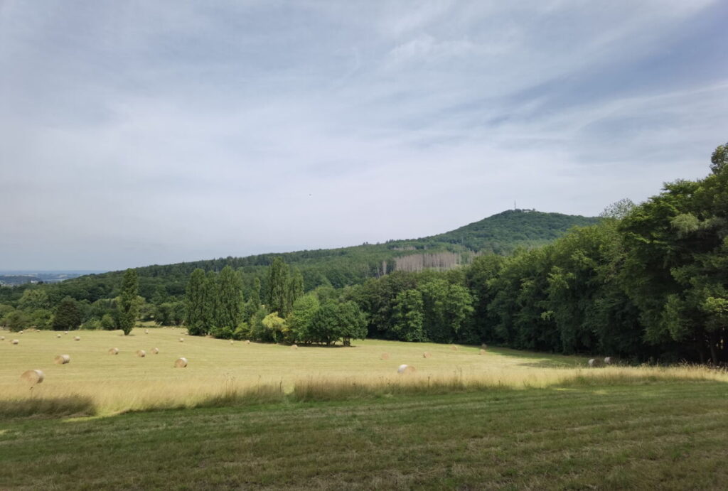 Ausblick von unten auf den Großen Ölberg im Siebengebirge