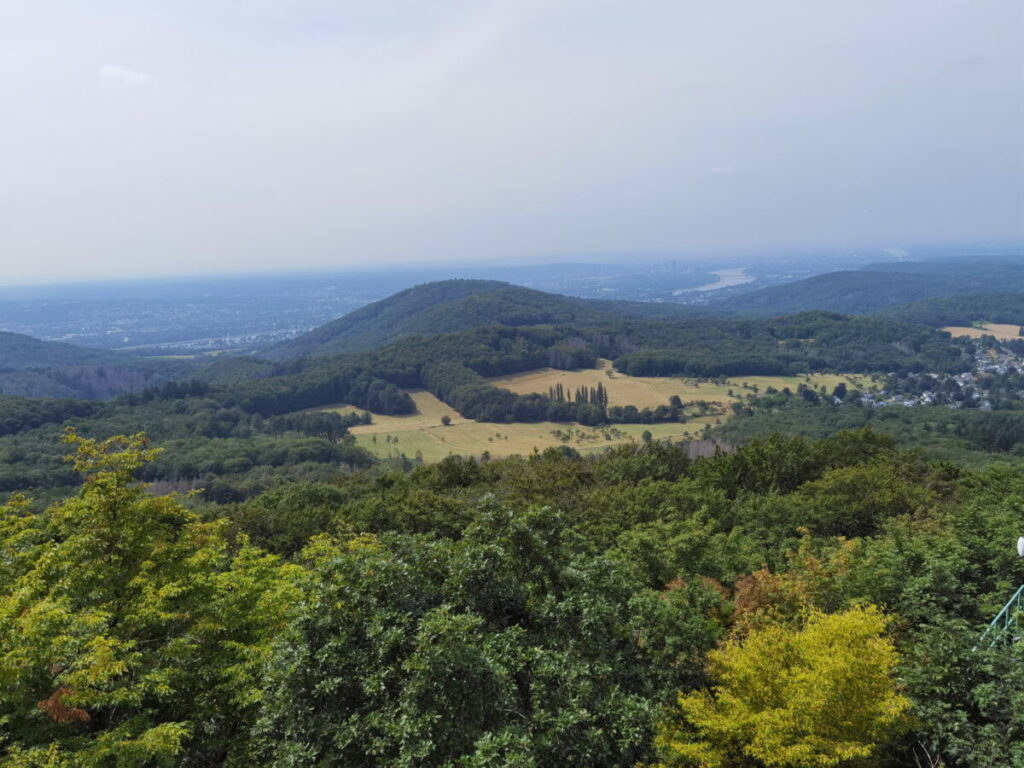 Ausblick vom Ölberg im Siebengebirge in Richtung Bonn - rechts hinten am Horizont