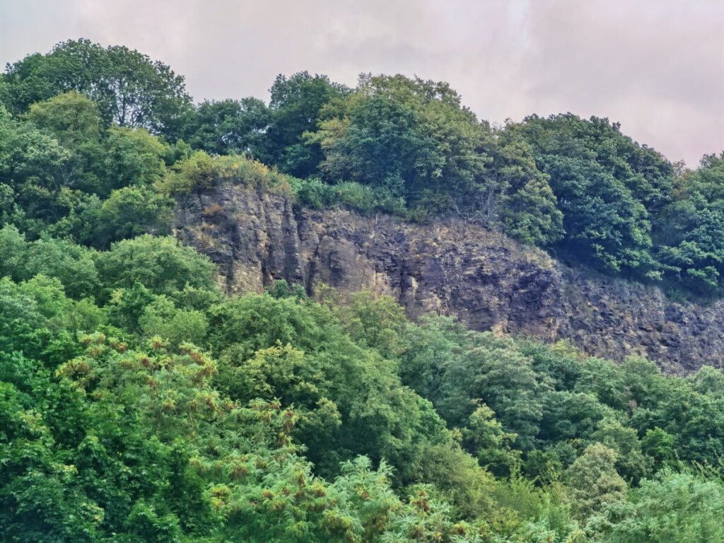 Der Ennert Bonn ist geprägt vom Basaltstein