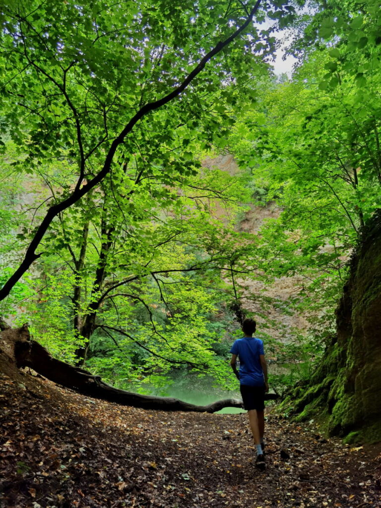 Auf den Wegen am Ennert wandern